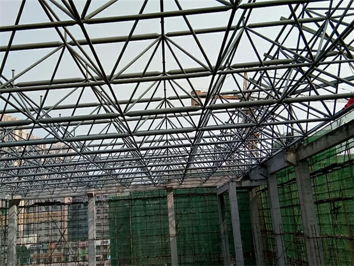 河北光谷第十一小学网架